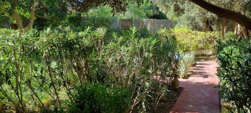 a path through a garden with trees and a fence at Les Trois Paons in Taroudant