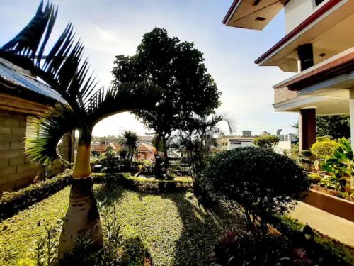 a palm tree in the middle of a yard at Avana Hills Boracay Prime Family Suite in Boracay