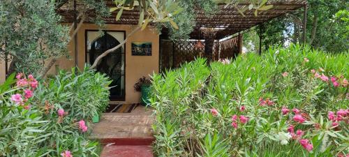 a garden with pink flowers in front of a house at Les Trois Paons in Taroudant