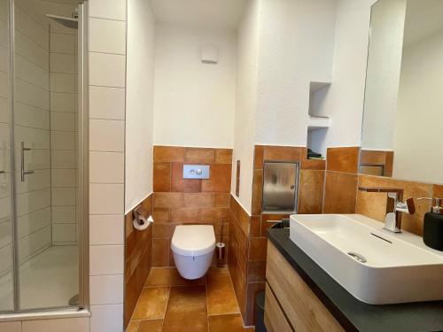 a bathroom with a sink and a toilet and a shower at Moderne Ferienwohnung in Bad Waldsee