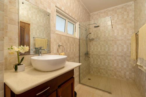 uma casa de banho com um lavatório e um chuveiro em TOP VIEW RETREAT SELFCATERING em Anse a La Mouche