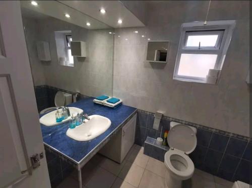 Spacious 2BDR Apartment, WIFI+ Great TV في رومفورد: حمام مع حوض ومرحاض ونافذة