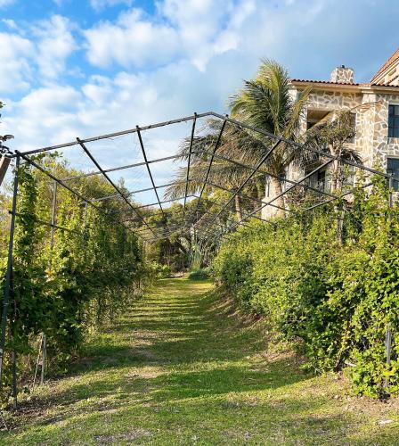 Κήπος έξω από το 台東 奧麗雅安莊園 Chateau de olea