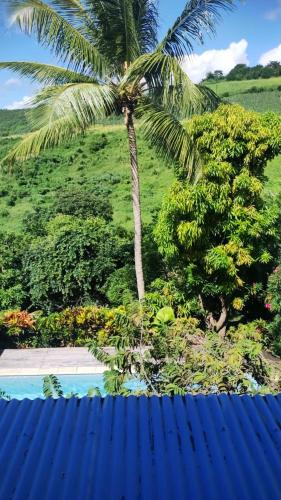 a palm tree next to a swimming pool at Belle villa avec piscine privée à Le Carbet in Le Carbet