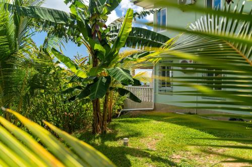 a house with a palm tree in front of it at TOP VIEW RETREAT SELFCATERING in Anse a La Mouche