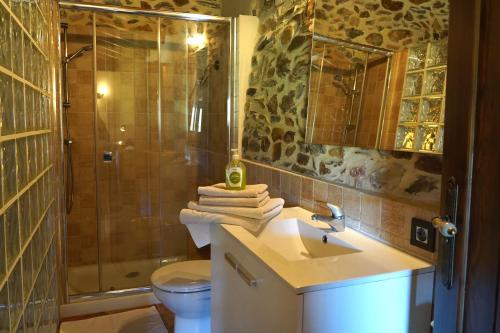 ein Bad mit einer Dusche, einem Waschbecken und einem WC in der Unterkunft Los Monteros Sierra de Francia in Aldeanueva de la Sierra