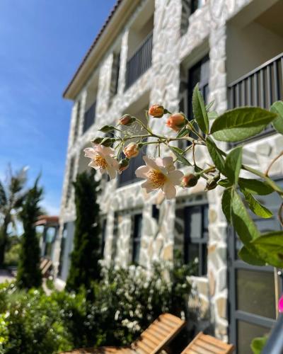 Κήπος έξω από το 台東 奧麗雅安莊園 Chateau de olea