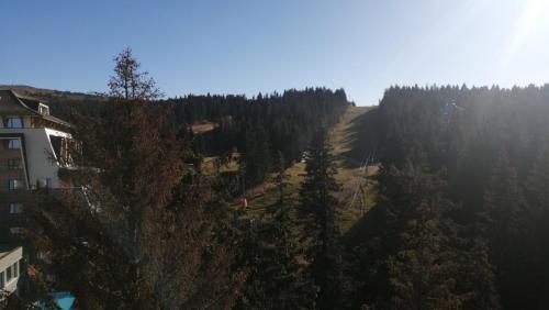 a view of a hill with trees and a building at Woodside apartments Kopaonik in Kopaonik