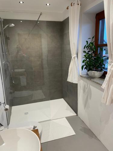 een badkamer met een douche, een toilet en een wastafel bij Ferienwohnung Hofleben Reiner in Neukirchen vorm Wald