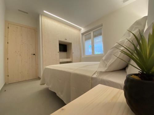 a bedroom with a bed and a potted plant at IBSEN Almagro in Almagro
