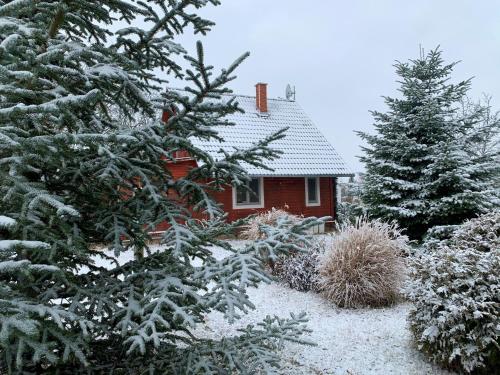 a house covered in snow in front of trees at Kisház in Gárdony