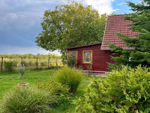 a red house with a red roof in a field at Kisház in Gárdony