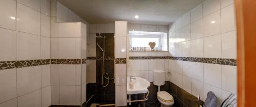 W łazience znajduje się prysznic, toaleta i umywalka. w obiekcie Beates Daham w mieście Fohnsdorf