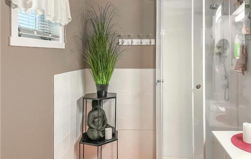 a bathroom with a plant on a shelf next to a shower at Awesome Home In Straumsjen With 3 Bedrooms And Wifi in Straumsjøen