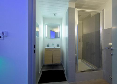 łazienka z umywalką i prysznicem w obiekcie Appart'Hôtel de la Gare - Cocooning w mieście Montbéliard