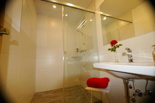 uma casa de banho com um chuveiro, um lavatório e um espelho. em Haus Brigitte Rettensteiner em Schladming