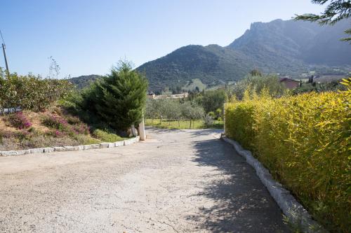 a dirt road with a hedge and a mountain at Natur Hotel Tanca in Cardedu
