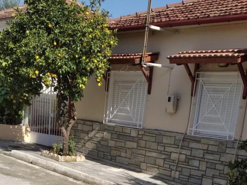 a house with a lemon tree in front of it at ASTERIA HOUSE in Kala Nera