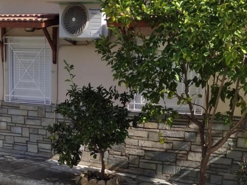 a house with two trees in front of a window at ASTERIA HOUSE in Kala Nera