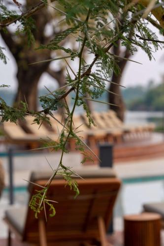 Gambar di galeri bagi Radisson Blu Mosi-oa-Tunya Livingstone Resort di Livingstone