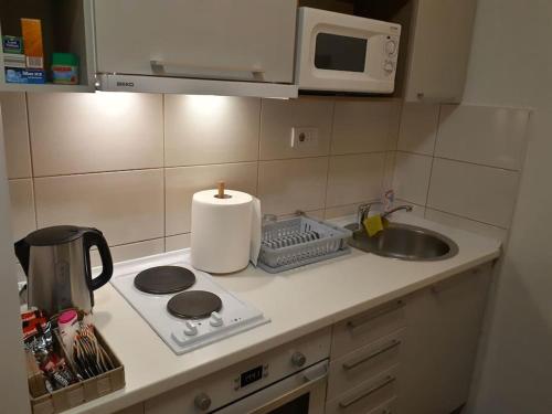 Kuchyň nebo kuchyňský kout v ubytování Skopje Rekord Ivan Apartment