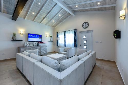 a large living room with couches and a tv at Boutique Hotel Swiss Paradise Aruba Villas and Suites in Palm-Eagle Beach