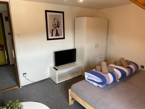 Ein Bett oder Betten in einem Zimmer der Unterkunft Pension V Pohodě