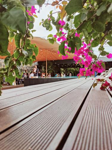 een houten bank met roze bloemen erop bij Volcanic Charming House in Ribeira Grande