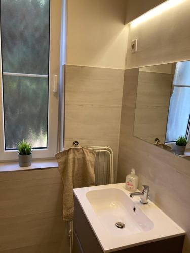 a bathroom with a sink and a mirror at Künszler Apartmanház in Zamárdi