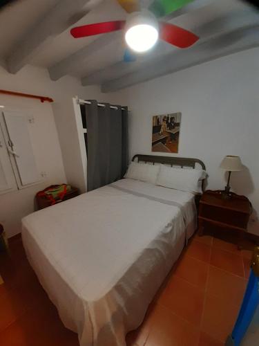 Schlafzimmer mit einem Bett und einem Deckenventilator in der Unterkunft Isla bonita vielle ville pietonier jusqu à la plage a 1 mn in Villajoyosa