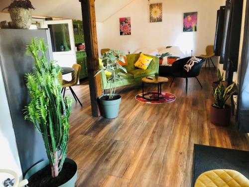 a living room filled with lots of plants at B &B Yuupke Maasbree Noord-Limburg Venlo Roermond in Maasbree