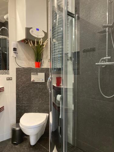 Kúpeľňa v ubytovaní Apartament BB na Halnej