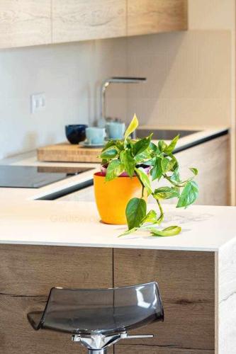 a plant sitting on a counter in a kitchen at La Quintana Berbes By Silastur in Ribadesella