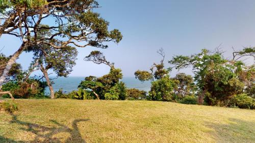 a grassy hill with trees and the ocean in the background at Khumbula at Caribbean Estates in Port Edward