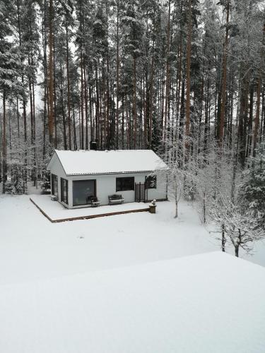 a small cabin in the snow in a forest at Sisaliku Puhkemaja saunaga in Luke