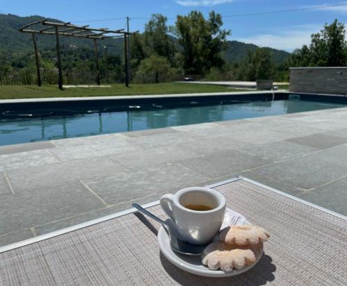 a cup of coffee and two teddy bears on a plate with a cup at Cascina Formighezzo in Arquata Scrivia