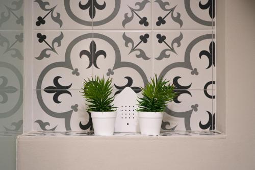 three potted plants sitting on a shelf in front of a wall at CASA BELGERI - Bed & Breakfast in Dongio