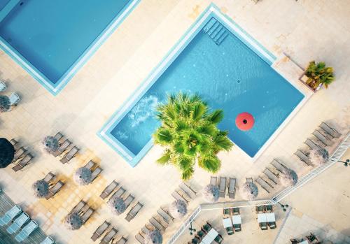 an overhead view of a pool with a palm tree and a red ball at Camping Sunelia L'Argentière in Cogolin