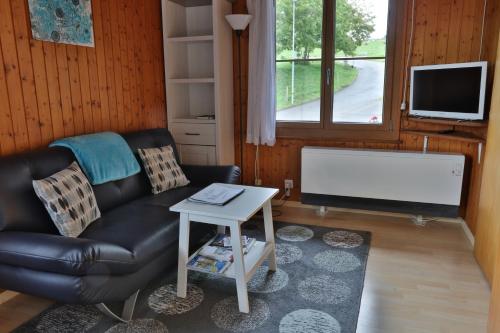 a living room with a couch and a tv at Hof Oberprehl in Murten