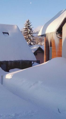 a yard covered in snow next to a house at Rodinné apartmány Rafael Bedřichov in Bedřichov