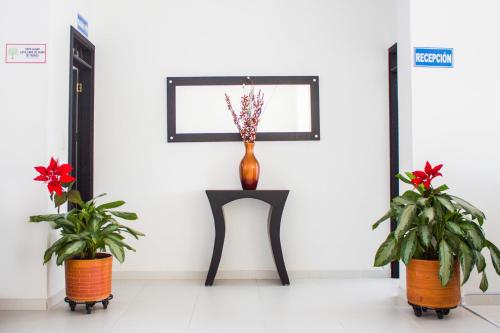 a vase sitting on a table with two plants at Victoria Imperial Hotel in Mariquita