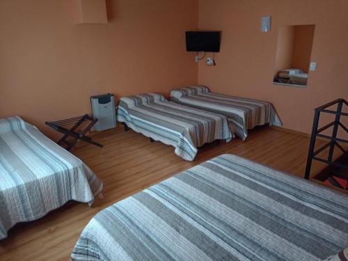 a group of three beds in a room at UAKEN CABAÑAS in El Calafate