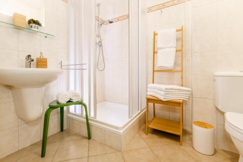 a bathroom with a shower and a sink and a toilet at Benešovka in Vacov