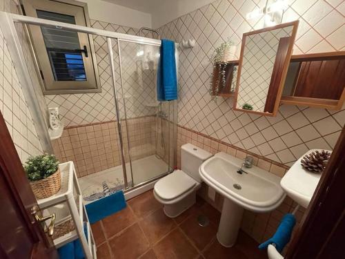 a bathroom with a toilet and a shower and a sink at Fully equipped seaview Cabezo flat in El Médano