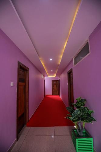 a hallway with purple walls and a red carpet at zanbaq residency in Vythiri