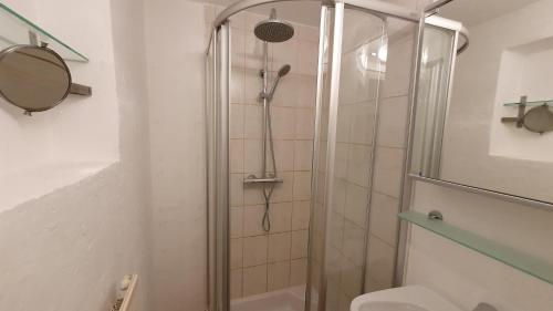a bathroom with a shower with a toilet and a mirror at Haus Monika in Kirchberg in Tirol