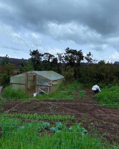 a tent in the middle of a field at Refugio Pullao in Quilquico