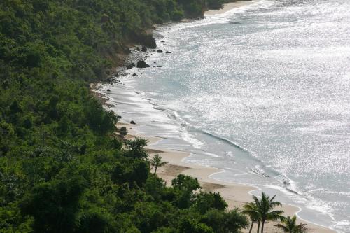 a beach with palm trees and the ocean at CeBlue Villas in The Valley
