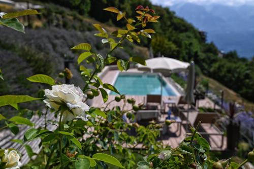 a house on a hill with a pool and flowers at BnB Borgo le Vigne - L'Uva rara Only Adults in Tignale