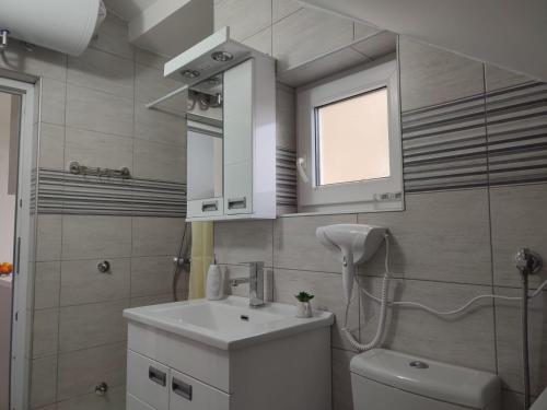baño con lavabo y aseo y ventana en Ana Belgrade Apartments, en Belgrado